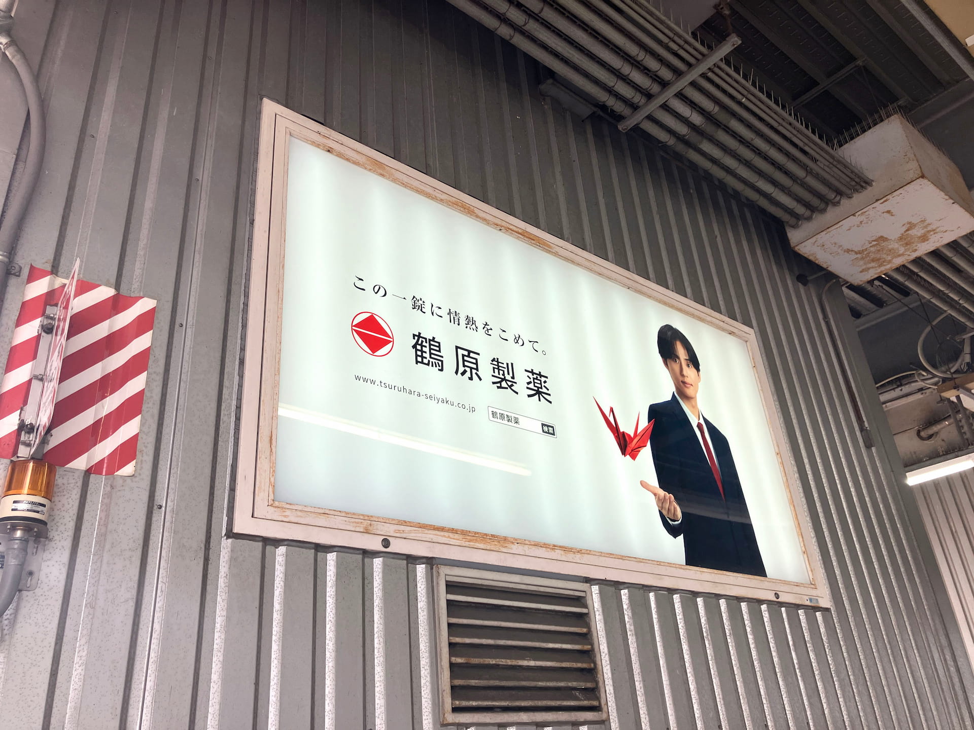 グラフィック