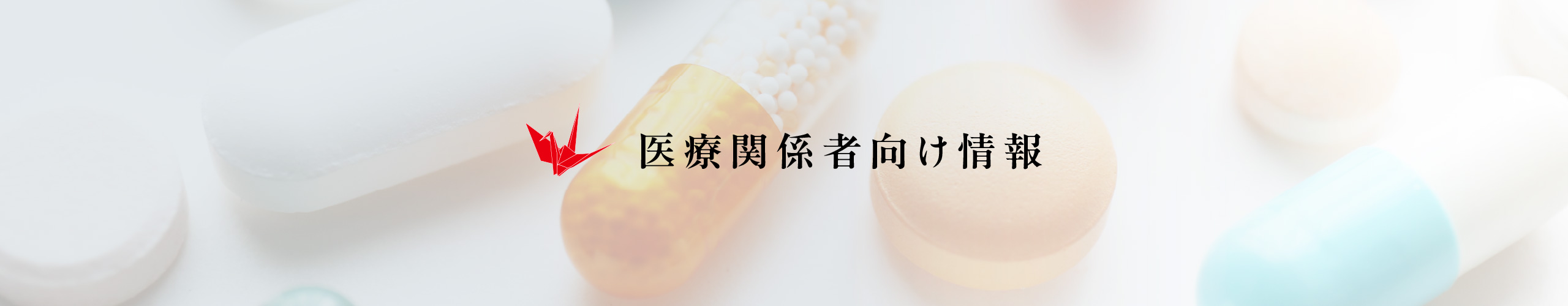 医療関係者向け情報